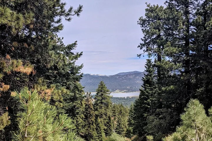 Scenic view of Big Bear Lake framed by tall pine trees