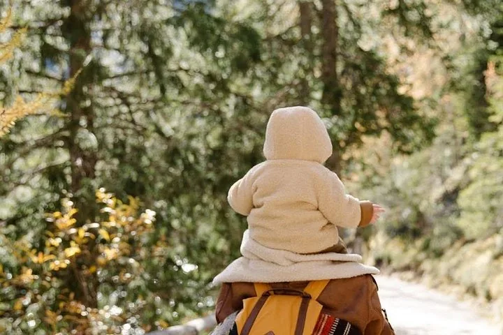A toddler sitting in a backpack carrier worn by an adult in woods