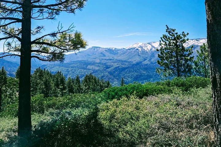 Scenic view of green rolling hills leading up to snow-capped mountains